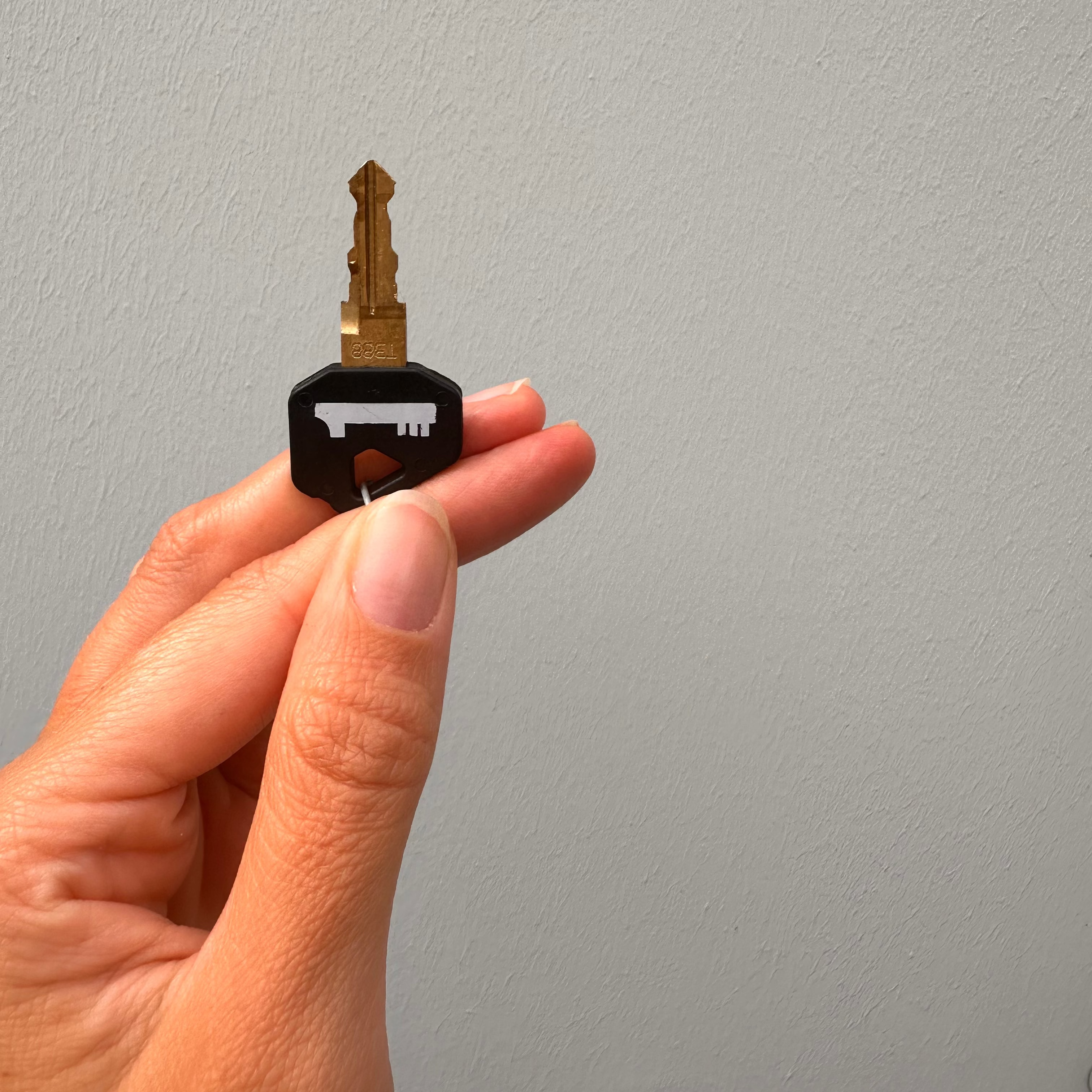 Replacement or Additional 1Key